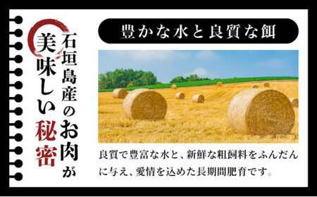 極厚!!肉汁溢れる 石垣島産《黒毛和牛100%》俵ハンバーグ 180g×4個  |和牛 牛肉 冷凍 ハンバーグ 人気 おすすめ 国産 国産牛 小分け 八重山食肉センター YC-8