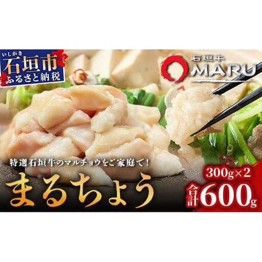 希少な特選石垣牛のホルモンをご家庭で！！マルチョウ300g×2パック【 沖縄 石垣 和牛 石垣牛 希少 特選 肉 ホルモン マルチョウ 冷凍 小分け 】IM-12