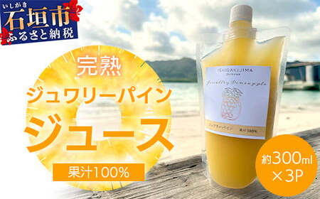 《2026年5月以降順次発送》完熟ジュワリーパイン果汁100％！！の濃厚ジュース300ml×3パックをお届け！【 沖縄県 石垣 完熟 パイン パイナップル ジュワリー 果汁 100％ 】TF-42_R8