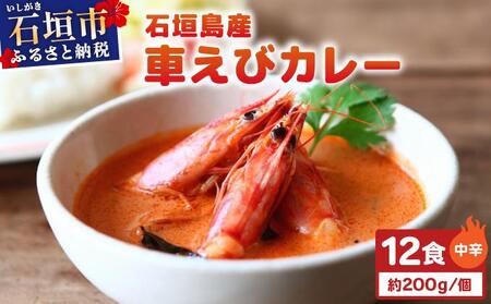 石垣島産車えびカレー（中辛）【冷凍 12食】石垣島のカレー専門店が作るご当地カレー　SK-3
