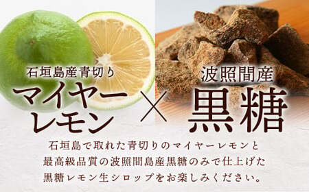 【先行受付】≪2026年10月～12月順次発送≫ 皮まで食べられる!? 黒糖レモン生シロップのみと果肉入りの120ml×各1本の2本セット | 沖縄 石垣 黒糖 波照間 青切り レモン マイヤー メイヤー 果肉 生 シロップ | TF-49