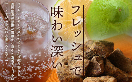 【先行受付】 ≪2026年10月～12月順次発送≫ 黒糖レモン生シロップ200ml×2本 | 沖縄 石垣 黒糖 波照間 青切り レモン マイヤー メイヤー 生 シロップ | TF-50