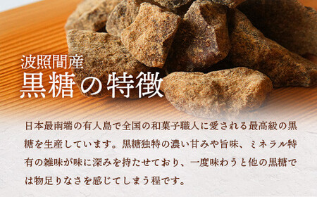 【先行受付】 ≪2026年10月～12月順次発送≫ 黒糖レモン生シロップ200ml×2本 | 沖縄 石垣 黒糖 波照間 青切り レモン マイヤー メイヤー 生 シロップ | TF-50