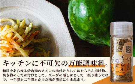 チャンプルの素 25g 瓶入×3本【 沖縄県 石垣島 調味料 万能 石垣島産 】PN-1