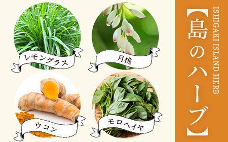 チャンプルの素 25g 瓶入×3本【 沖縄県 石垣島 調味料 万能 石垣島産 】PN-1