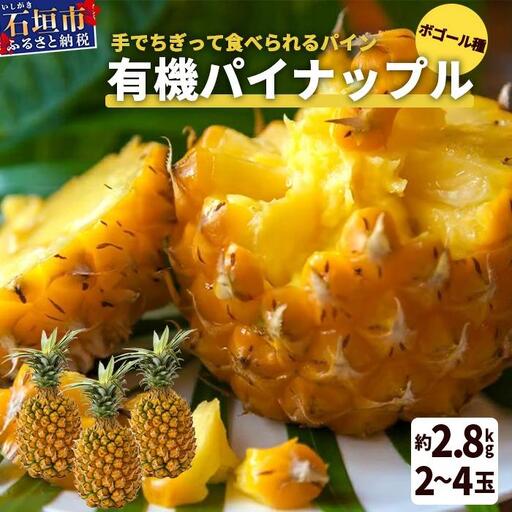 ＜先行予約＞ 石垣島産 有機パイナップル ボゴール種 2～4玉（約2.8kg）《6月上旬発送予定》| パイナップル パインアップル 石垣島パイン フルーツ 果物 くだもの 南国フルーツ 国産パイン E-41