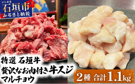 【2025年11月以降順次発送】特選石垣牛の牛スジとマルチョウをご家庭で！！牛スジ500g、マルチョウ300ｇ×2の大容量セット | 沖縄 石垣 牛スジ マルチョウ ホルモン 牛 肉 特選 黒毛 和牛 贅沢 | IM-25