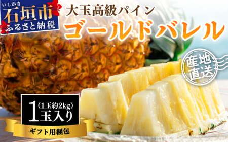 ＜先行予約＞ 石垣島産 ゴールドバレル１玉 約2.0kg ギフト用梱包 ＜2026年7月以降発送＞ | ギフト 贈り物 産地直送 沖縄 石垣 フルーツ パイナップル パイン ゴールドバレルパイン SI-127