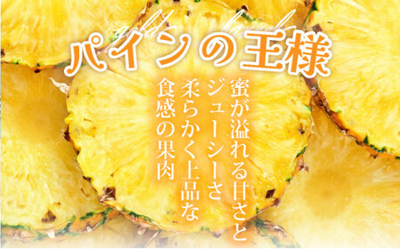 ＜先行予約＞ 石垣島産 ゴールドバレル１玉 約2.0kg ギフト用梱包 ＜2026年7月以降発送＞ | ギフト 贈り物 産地直送 沖縄 石垣 フルーツ パイナップル パイン ゴールドバレルパイン SI-127
