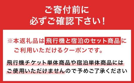石垣市に泊まるふるさと納税旅行クーポン【3,000円分】｜沖縄県 石垣市 石垣島 八重山 旅行 クーポン 旅行クーポン 電子クーポン 日本空輸 NK-1