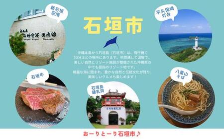 石垣市に泊まるふるさと納税旅行クーポン【15,000円分】｜沖縄県 石垣市 石垣島 八重山 旅行 クーポン 旅行クーポン 電子クーポン 日本空輸 NK-5