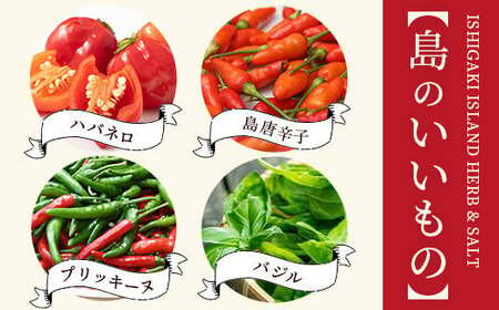 ドラゴンペッパー 15g 瓶入×3本【 沖縄県 石垣島 調味料 万能 石垣島産 辛味 】PN-3