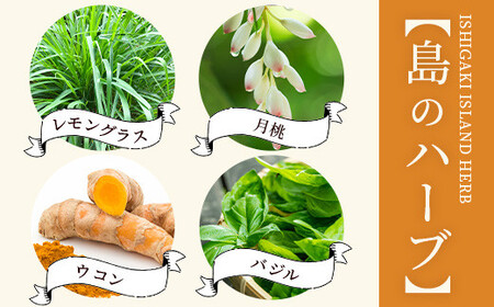 調味料セット チャンプルの素25g＋ハーブ楽塩23g＋ドラゴンペッパー15g　瓶入×3本【 沖縄県 石垣市 石垣島 調味料 万能 石垣島産 セット 】PN-4