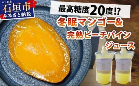 《8月以降順次発送》最高糖度20度！？冬眠マンゴーと完熟ピーチパインジュース