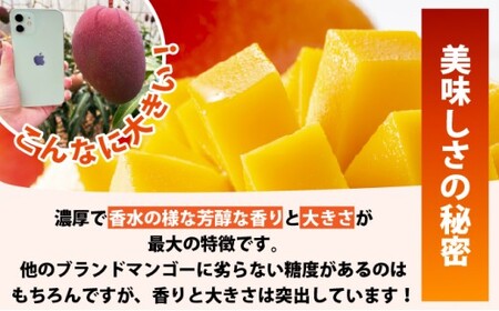 《8月以降順次発送》最高糖度20度！？冬眠マンゴーと完熟ピーチパインジュース