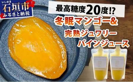 《8月以降順次発送》最高糖度20度！？冬眠マンゴーと完熟ジュワリーパインジュース