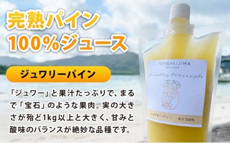 《8月以降順次発送》最高糖度20度！？冬眠マンゴーと完熟ジュワリーパインジュース