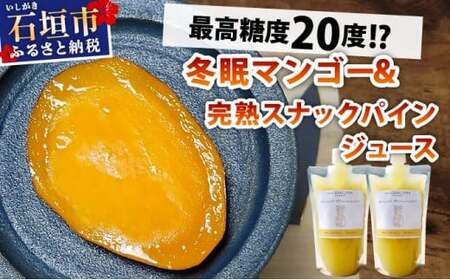 《8月以降順次発送》最高糖度20度！？冬眠マンゴーと完熟スナックパインジュース