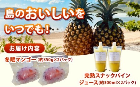 《8月以降順次発送》最高糖度20度！？冬眠マンゴーと完熟スナックパインジュース
