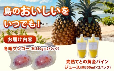 《8月以降順次発送》最高糖度20度！？冬眠マンゴーと完熟てとの黄金パインジュース