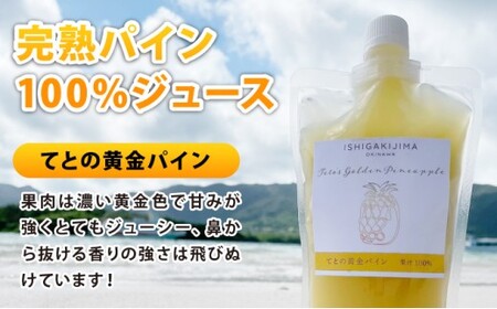 《8月以降順次発送》最高糖度20度！？冬眠マンゴーと完熟てとの黄金パインジュース