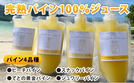 《8月以降順次発送》最高糖度20度！？冬眠マンゴーと完熟パイン4種のジュース 