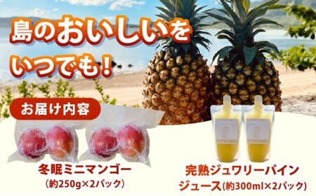 《8月以降順次発送》最高糖度20度！？冬眠ミニマンゴーと完熟ジュワリーパインジュース