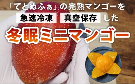 《8月以降順次発送》最高糖度20度！？冬眠ミニマンゴーと完熟ジュワリーパインジュース