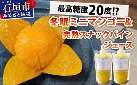 《8月以降順次発送》最高糖度20度！？冬眠ミニマンゴーと完熟スナックパインジュース