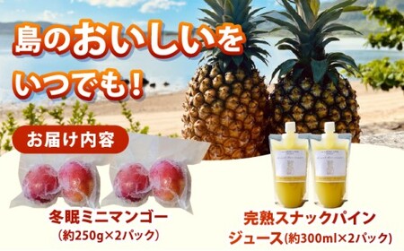 《8月以降順次発送》最高糖度20度！？冬眠ミニマンゴーと完熟スナックパインジュース