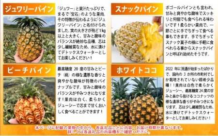 《年２回発送》島のおいしいを贅沢に！某TV番組で紹介された希少なホワイトココと青切りマイヤーレモンのよくばり定期便！