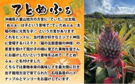 《年２回発送》島のおいしいを贅沢に！某TV番組で紹介された希少なホワイトココと青切りマイヤーレモンのよくばり定期便！