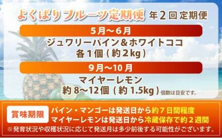 《年２回発送》島のおいしいを贅沢に！パイナップル2種食べ比べと青切りマイヤーレモンのよくばり定期便！