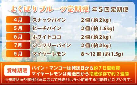 《年5回発送》パイナップル好きにおすすめ!大満足のパイナップル4品種&マイヤーレモン定期便