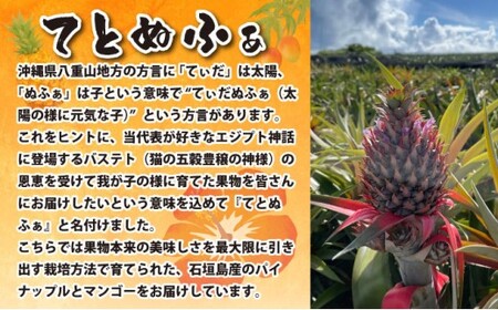《年5回発送》パイナップル好きにおすすめ!大満足のパイナップル4品種&マイヤーレモン定期便