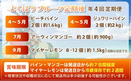 《年4回発送》島のおいしいを贅沢に！パイナップル2種とマンゴー、青切りマイヤーレモンのよくばり定期便