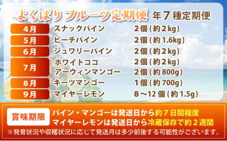 《年7回発送》島のおいしいを贅沢に！大満足のパイナップル4種とマンゴー2種、マイヤーレモンの定期便