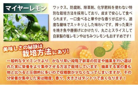 《年7回発送》島のおいしいを贅沢に！大満足のパイナップル4種とマンゴー2種、マイヤーレモンの定期便