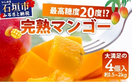タイムサービス16000結実歴有❗️11 ヤマシタマンゴー　耐寒性　特選フルーツ タイムサービス16000結実歴有❗️11 ヤマシタマンゴー 耐寒性 特選フルーツ