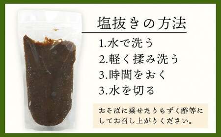 石垣島産　美らもずく麺（生麺2人前）&塩もずく（石垣島産太もずく）【 沖縄 石垣島 美ら もずく 麺 塩 】RR-1