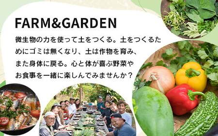 Rainbow Forest(レインボーフォレスト)施設利用券3,000円分 RF-1