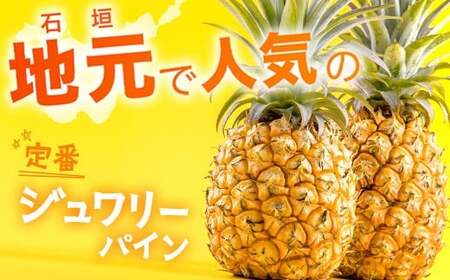 【先行予約】ジュワリーパイン1ｋｇ（1～2玉）お勧め♪川平パイン《2026年7月～8月頃順次発送》KN-1