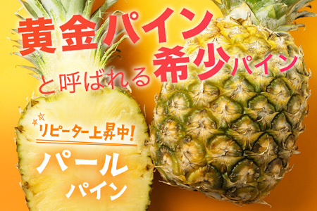 【先行予約】パールパイン1ｋｇ（1～2玉）お勧め♪川平パイン《2025年7月～8月頃順次発送》KN-2