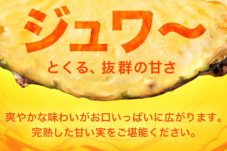 【先行予約】パールパイン1ｋｇ（1～2玉）お勧め♪川平パイン《2025年7月～8月頃順次発送》KN-2