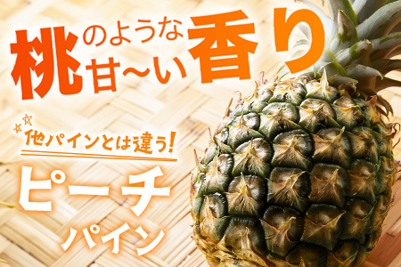 【先行予約】ピーチパイン1kg(1~2玉)お勧め♪川平パイン《2026年5月~11月頃順次発送》KN-4