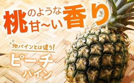【先行予約】ピーチ＆ポコットパイン食べ比べ 1ｋｇ（計２玉）お勧め♪川平パイン《2026年5月～10月頃順次発送》KN-5