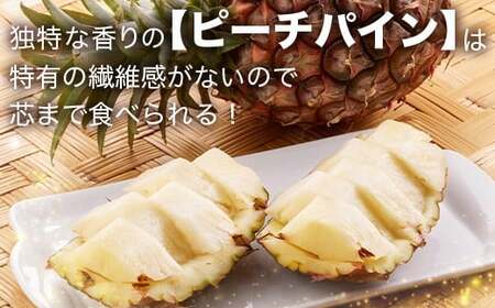 【先行予約】ピーチ＆ポコットパイン食べ比べ 1ｋｇ（計２玉）お勧め♪川平パイン《2026年5月～10月頃順次発送》KN-5