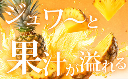 【先行予約】石垣島産 中玉スナックパイン（ボゴール）3玉 約3kg 《2026年5月以降発送》SI-110