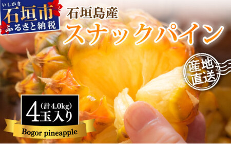 【先行予約】石垣島産 中玉スナックパイン(ボゴール)4玉 約4kg 《2026年5月以降発送》SI-111