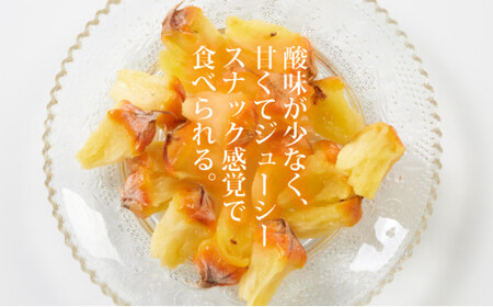 【先行予約】石垣島産 中玉スナックパイン(ボゴール)4玉 約4kg 《2026年5月以降発送》SI-111